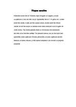 Biznesa plāns '"Venden+" - akvaparks', 13.