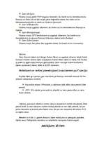 Konspekts 'Vilciena biļetes uz Franciju', 4.