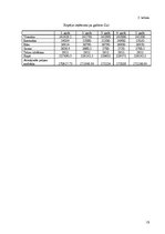 Biznesa plāns 'Viesnīca "Raume"', 15.