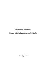 Paraugs 'Biznesa plāns uzņēmumam laika posmam', 1.