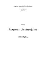 Referāts 'Augsnes piesārņojums', 1.