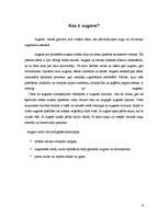 Referāts 'Augsnes piesārņojums', 6.