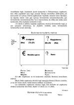 Referāts 'SIA "Famar Desi" tirgus analīze', 15.