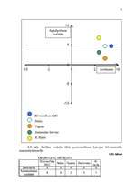 Referāts 'SIA "Famar Desi" tirgus analīze', 18.