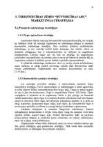 Referāts 'SIA "Famar Desi" tirgus analīze', 29.