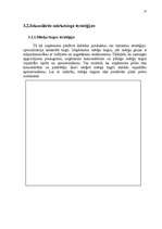 Referāts 'SIA "Famar Desi" tirgus analīze', 31.