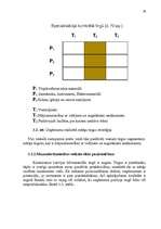 Referāts 'SIA "Famar Desi" tirgus analīze', 32.