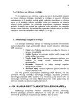 Referāts 'SIA "Famar Desi" tirgus analīze', 34.