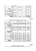 Referāts 'SIA "Famar Desi" tirgus analīze', 57.