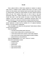 Referāts 'Viesnīcas SIA "Grand Palace Hotel" finanšu situācijas izvērtējums un attīstības ', 3.