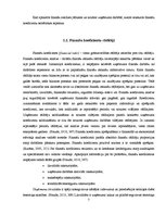 Referāts 'Viesnīcas SIA "Grand Palace Hotel" finanšu situācijas izvērtējums un attīstības ', 7.