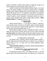 Referāts 'Viesnīcas SIA "Grand Palace Hotel" finanšu situācijas izvērtējums un attīstības ', 8.