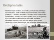 Prezentācija 'Lauksaimniecība Latvijas PSR', 28.