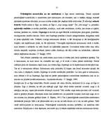 Referāts 'Personības struktūra Z.Freida psihoanalītiskajā koncepcijā', 13.