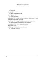 Biznesa plāns 'Biznesa plāns', 2.