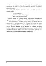 Biznesa plāns 'Biznesa plāns', 6.