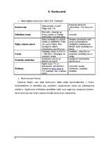 Biznesa plāns 'Biznesa plāns', 7.