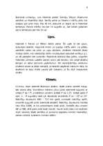 Referāts 'Nīderlande', 5.