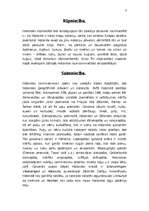 Referāts 'Nīderlande', 7.