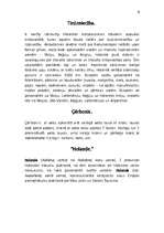 Referāts 'Nīderlande', 8.