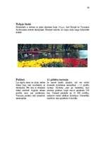 Referāts 'Nīderlande', 11.