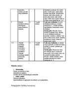 Prakses atskaite 'Kvalifikācijas prakse sākumskolā', 3.