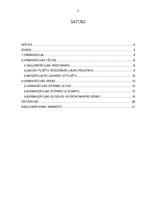 Prezentācija 'Urbanizācijas cēloņi un sekas', 2.