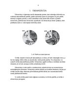 Prezentācija 'Urbanizācijas cēloņi un sekas', 4.