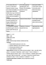 Prakses atskaite 'Aktīvā mācību un audzināšanas prakse', 19.