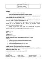 Prakses atskaite 'Aktīvā mācību un audzināšanas prakse', 39.