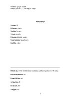 Prakses atskaite 'Aprūpes plāns, radioloģijas nodaļa', 3.