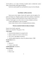 Prakses atskaite 'Aprūpes plāns, radioloģijas nodaļa', 5.