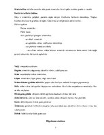 Prakses atskaite 'Aprūpes plāns, radioloģijas nodaļa', 7.