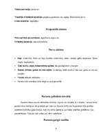 Prakses atskaite 'Aprūpes plāns, radioloģijas nodaļa', 9.