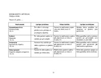 Prakses atskaite 'Aprūpes plāns, radioloģijas nodaļa', 15.