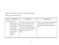 Prakses atskaite 'Aprūpes plāns, radioloģijas nodaļa', 20.