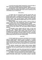 Referāts 'Pusvadītāji', 5.