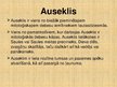 Prezentācija 'Saule, Saules meitas, Auseklis', 9.