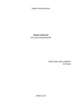 Referāts 'Imants Ziedonis - izcila, vēsturiska personība', 1.