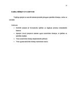 Diplomdarbs 'Koksnes ķīmiskā pretuguns aizsardzība un izmaksu analīze', 6.