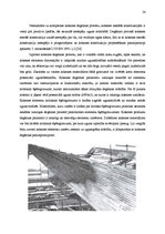 Diplomdarbs 'Koksnes ķīmiskā pretuguns aizsardzība un izmaksu analīze', 20.