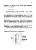 Diplomdarbs 'Koksnes ķīmiskā pretuguns aizsardzība un izmaksu analīze', 28.