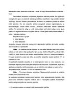 Diplomdarbs 'Koksnes ķīmiskā pretuguns aizsardzība un izmaksu analīze', 48.