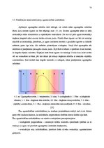 Diplomdarbs 'Koksnes ķīmiskā pretuguns aizsardzība un izmaksu analīze', 66.