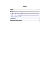 Referāts 'Interneta veikalu komercdarbības problēma - lietošanas instrukcijas latviešu val', 2.