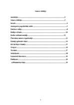 Referāts 'Autosports', 3.