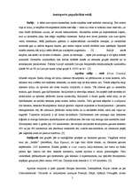 Referāts 'Autosports', 5.