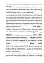 Referāts 'Autosports', 6.