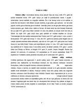 Referāts 'Autosports', 8.