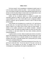 Referāts 'Autosports', 10.